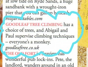 Tatler article
