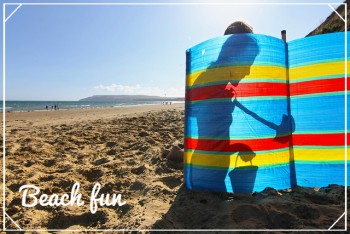Beach and windbreak